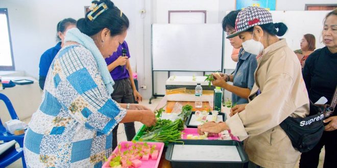 โครงการพัฒนาคุณภาพชีวิตฯ (พื้นที่บ้านใหม่ฉลองราช หมู่ 8 ต.สบป้าด อ.แม่เมาะ จ.ลำปาง) อบรมเชิงปฏิบัติการ หัวข้อ การปลูกผักไฮโดรโปนิกส์
